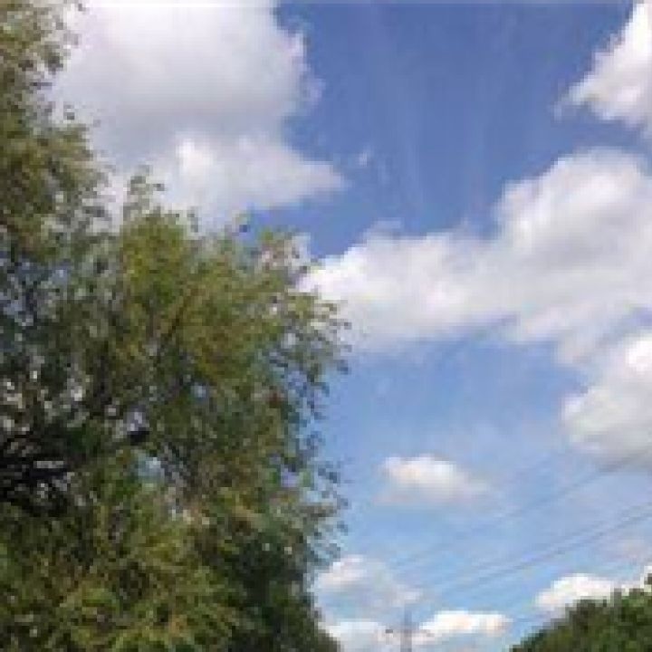 London Area NCS Weekend 30-31 May 2015 