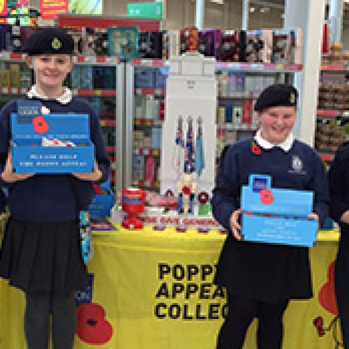 Poppy Appeal Collection 2014
