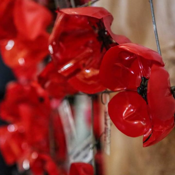 Our Poppy Display