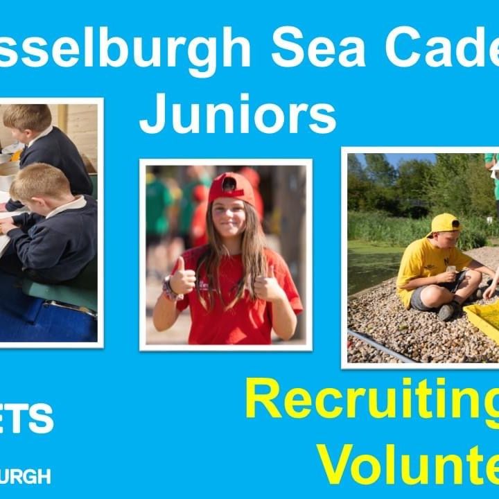 Recruiting Adult Volunteers Now!