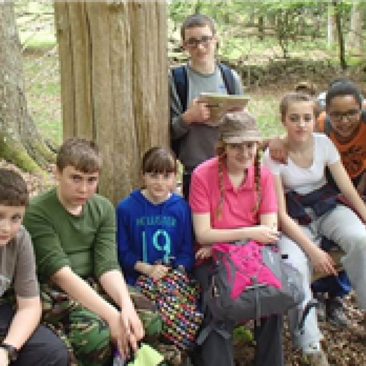 31st May to 2nd June 2013- New Forest Camp 