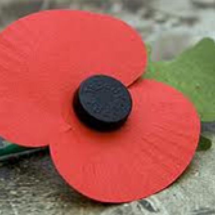 Remembrance Parade Sunday 11th November 2012