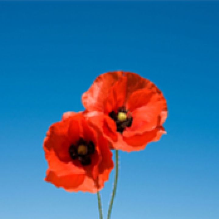 Remembrance Day Parade