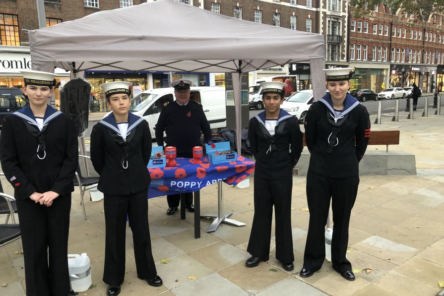 poppy appeal collecting